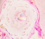 9F9BCAEE-54A7-92D2-8591-E8AC9ACEDA62